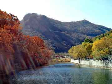 新澳门期期准精准，王新政白马寺痛消贴